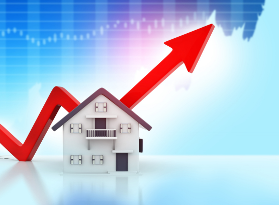 Real Estate Investment
